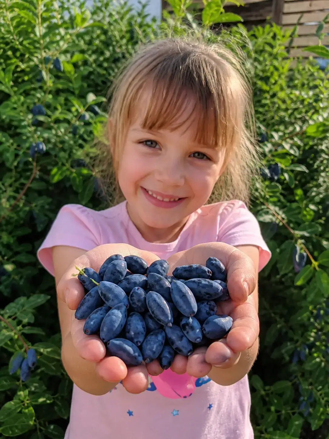 Поліська Ніч 5