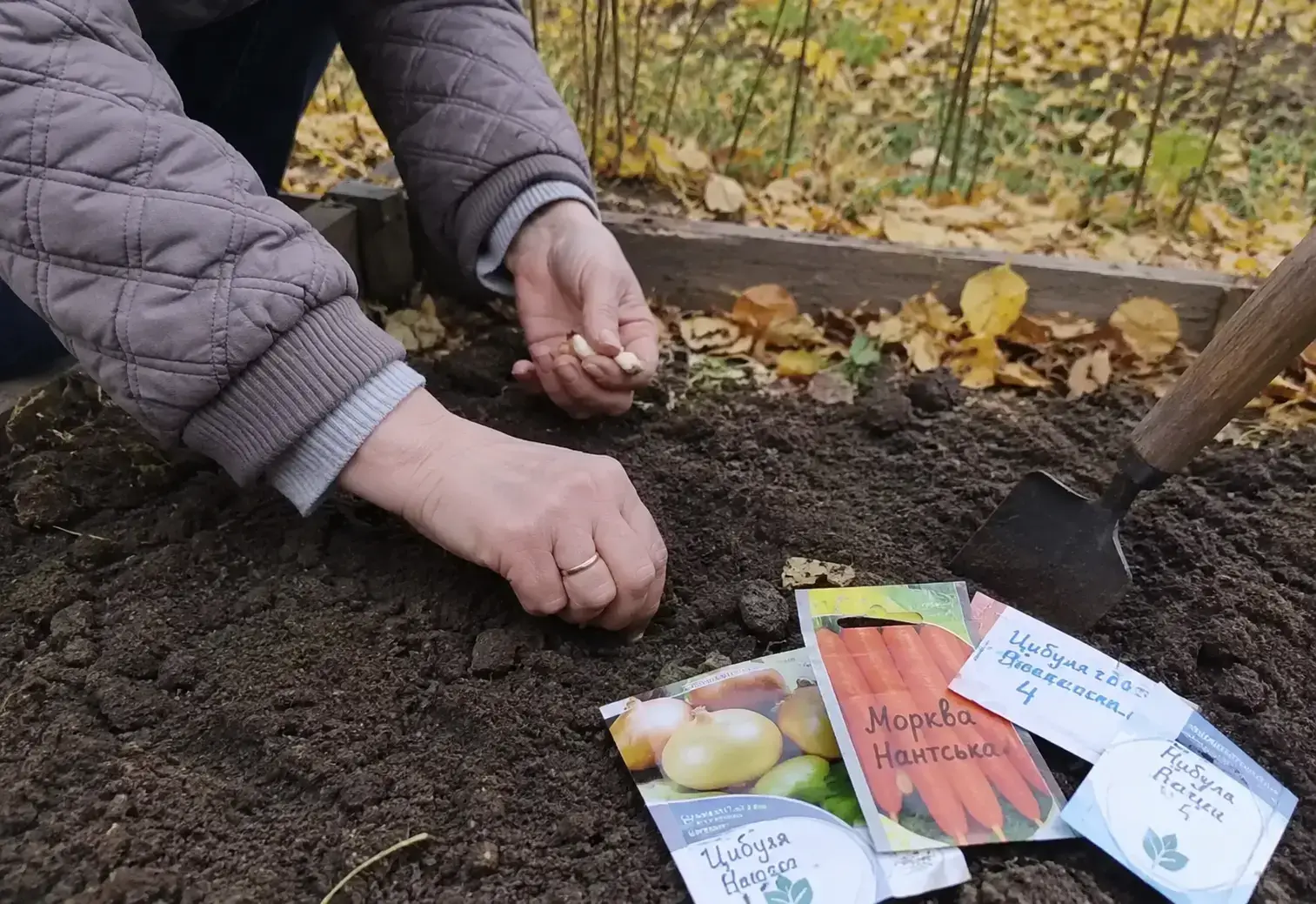 Овочівництво